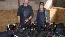 Making the most from your buildings at calving